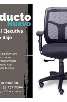 Silla Semi Ejecutiva Respaldo Bajo Reqüiez