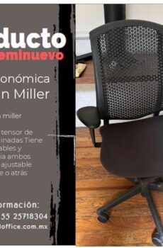 Silla Ergonómica Celle Herman Miller