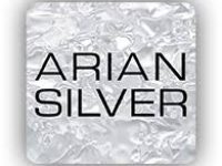 Imagen Cliente ARIAN SILVER